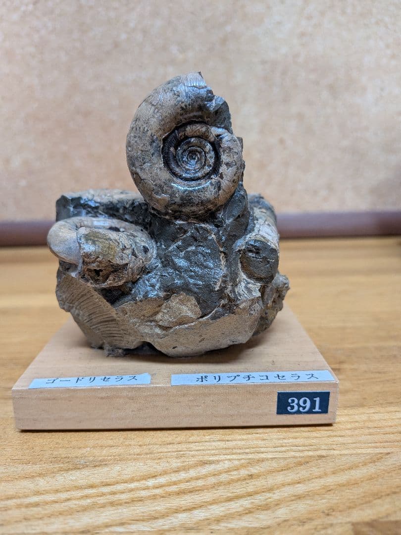 アーサーまとめ売り商品