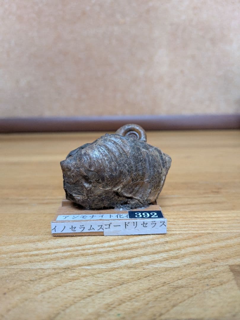 アーサーまとめ売り商品