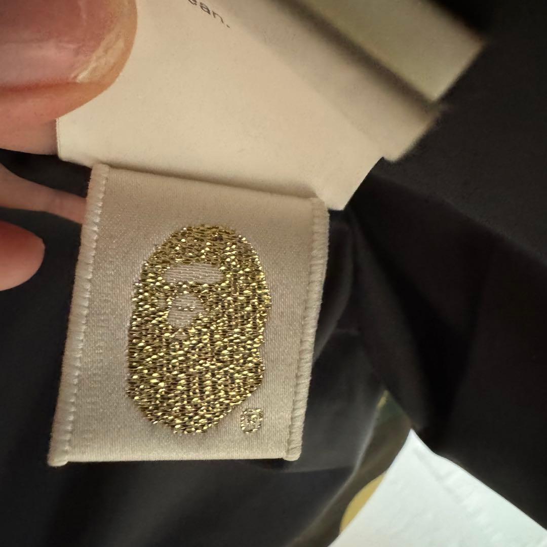 APE エイプ　アウター　スノーウェア　カモ柄　カモフラージュ110