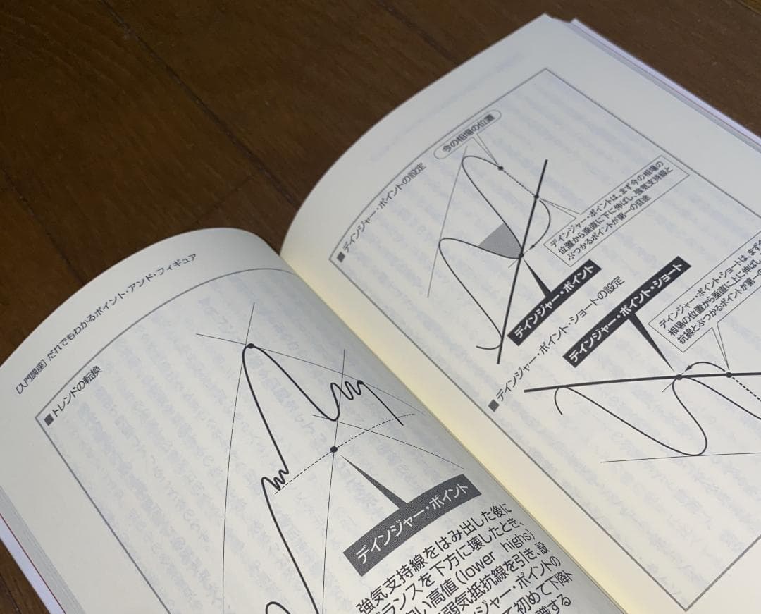 外貨投資に勝つ　松本鉄郎 著