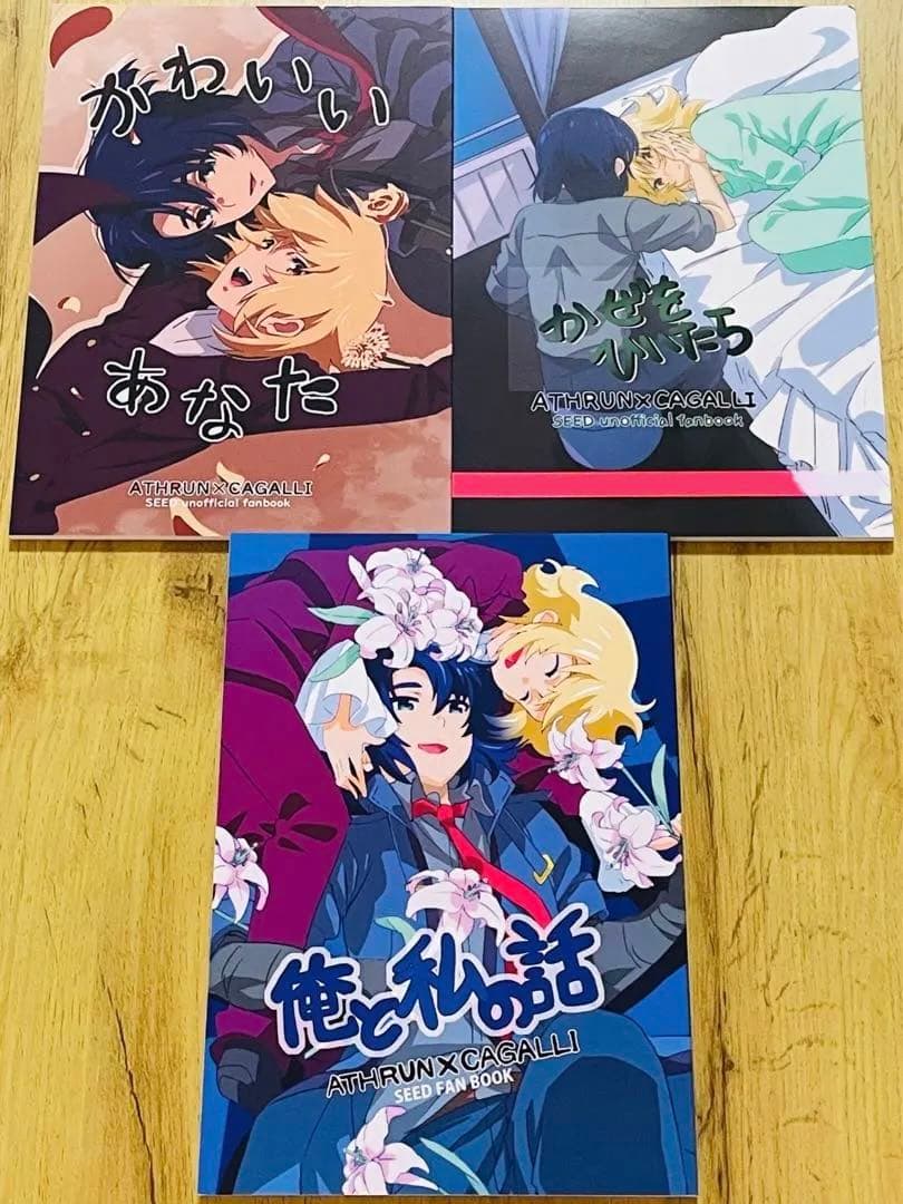 【新品・未開封】機動戦士ガンダムSEED FREEDOM◆アスカガ本◆3冊セット