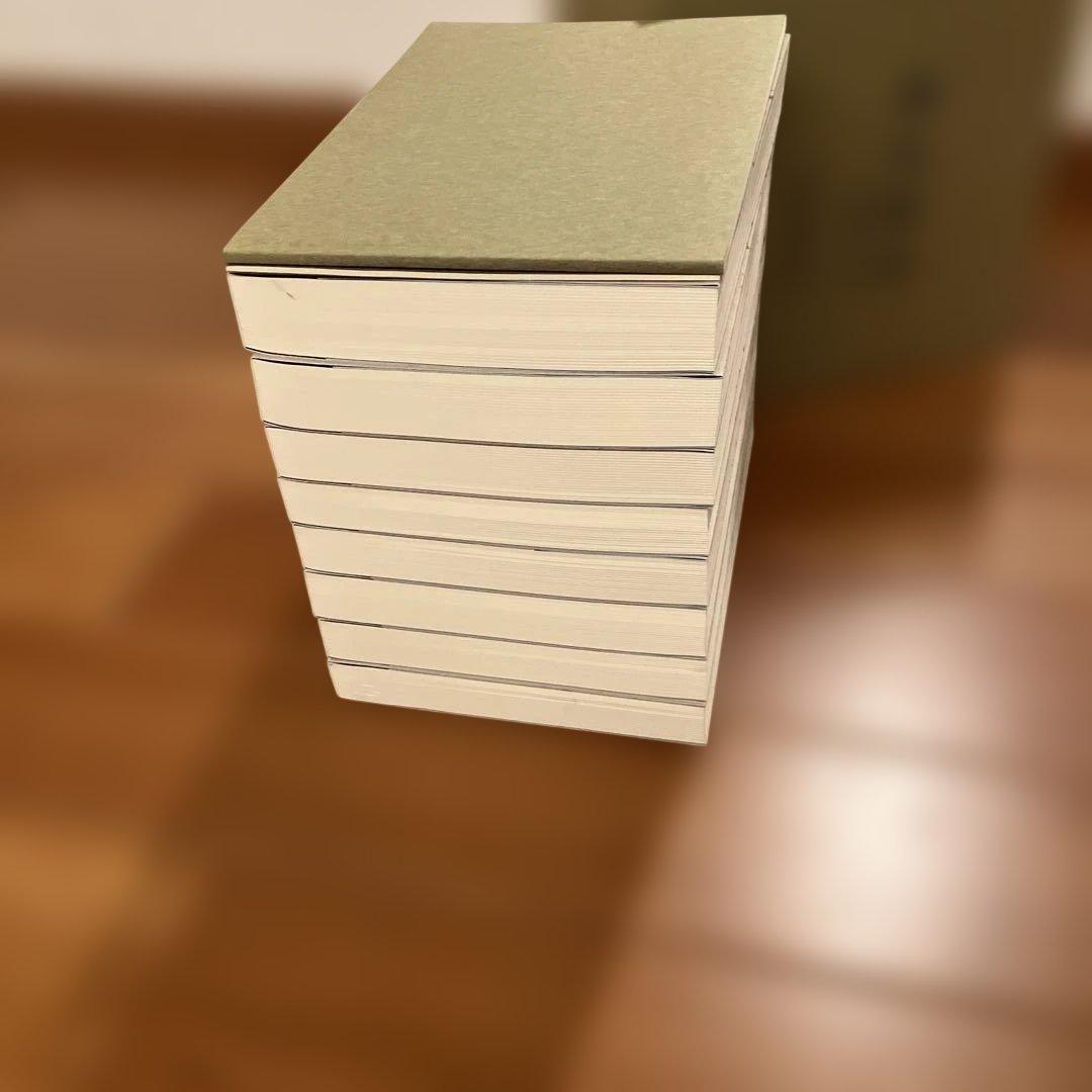 源氏物語　上野栄子　訳　日本経済新聞出版社