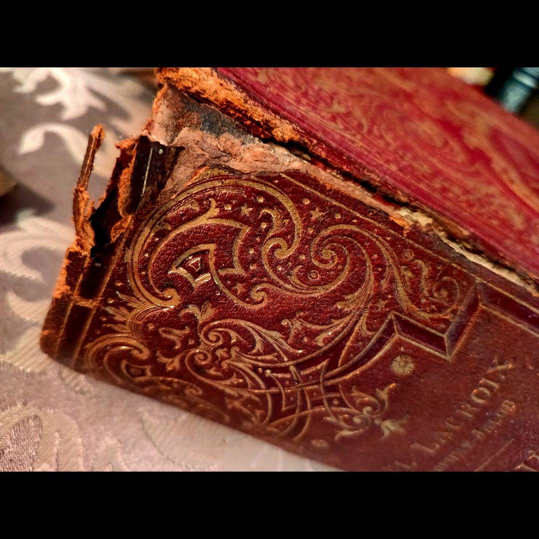 ⭐超希少⭐️２９cm【フランス製の古い洋書】革製の高級感度ある洋古書 １冊