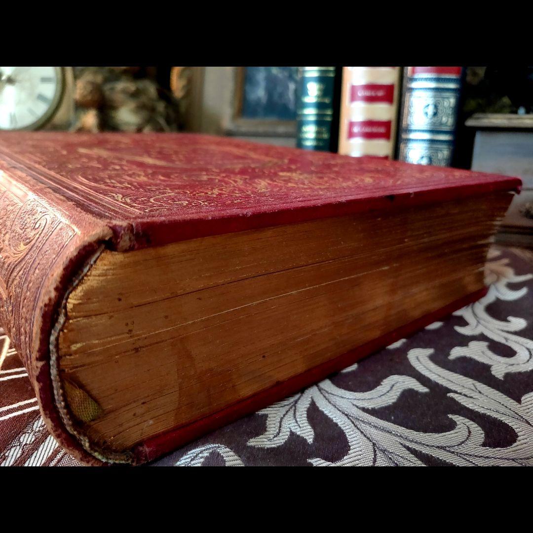 ⭐超希少⭐️２９cm【フランス製の古い洋書】革製の高級感度ある洋古書 １冊