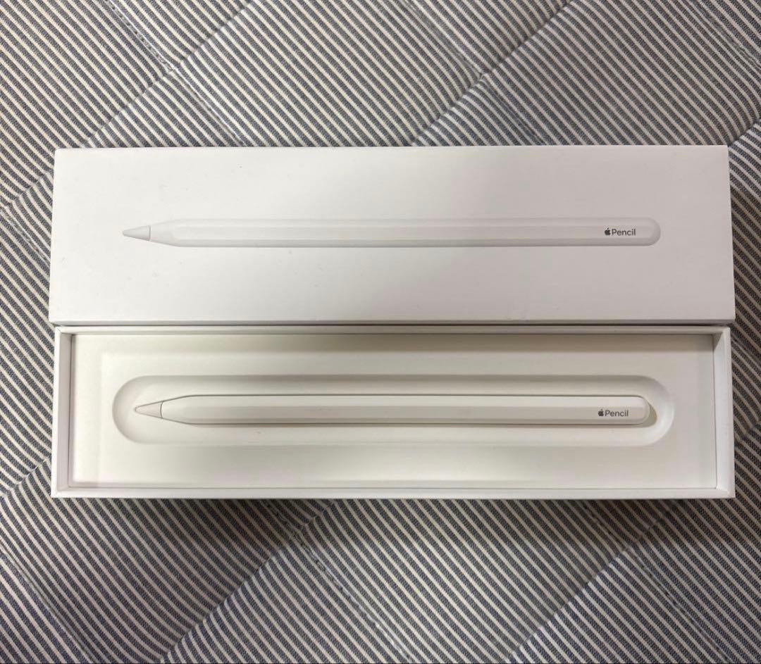 ＊まさぴょーん＊　Apple Pencil ホワイト 専用ケース付き