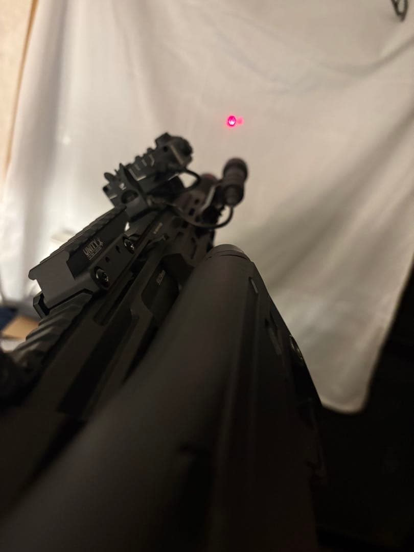 DBAL A2 レーザーサイト　シュアファイアフラッシュライト