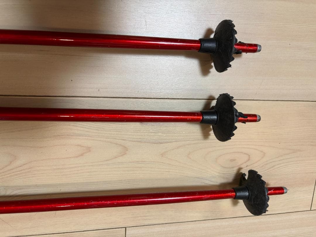 【おまけ付】SINANO（シナノ）フリーFAST α / RD　+　LEKI