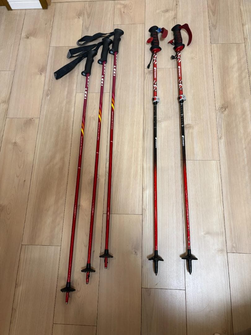 【おまけ付】SINANO（シナノ）フリーFAST α / RD　+　LEKI