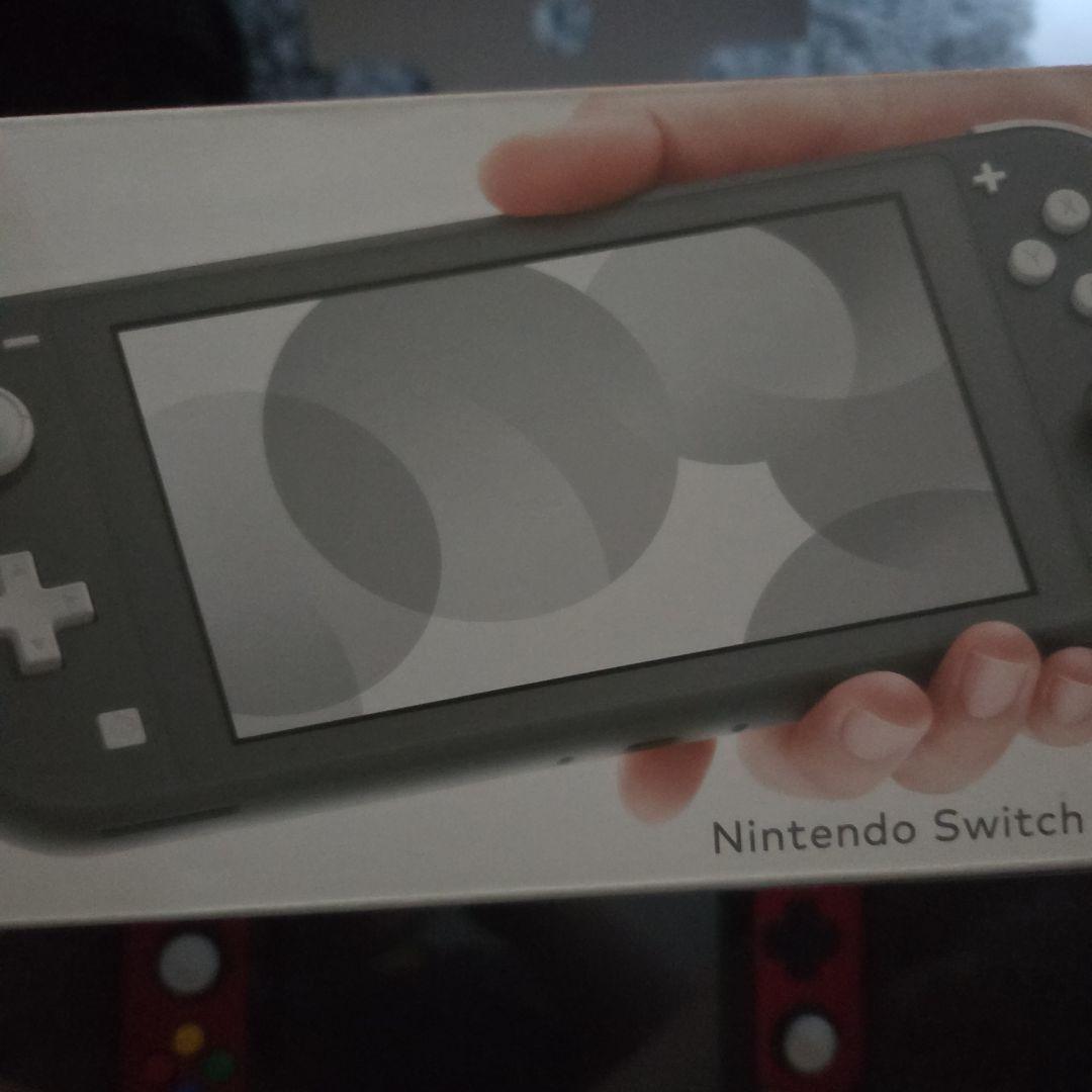 大*桜様 Nintendo Switch Lite グレー 本体