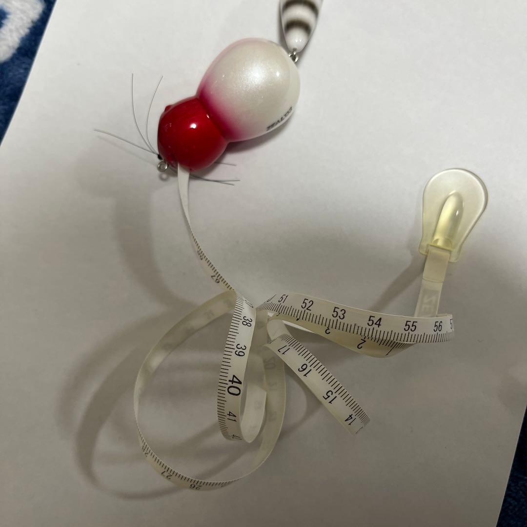 ラスト　アライくんメジャー