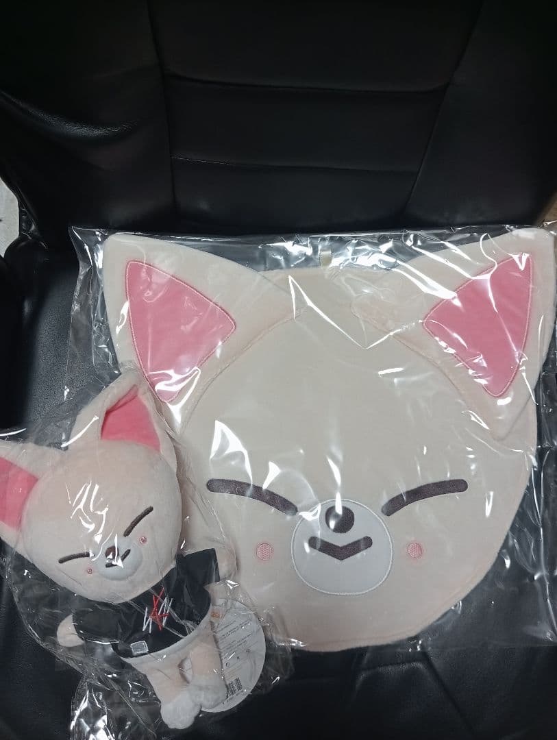 ペンミセット！限定1点♡♡うちわケース＆オリジナルサイズぬいぐるみセット♡