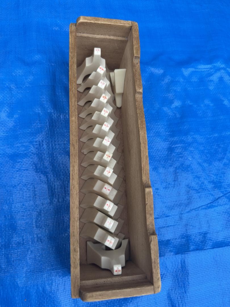 c*a様 筝 十三絃　13弦