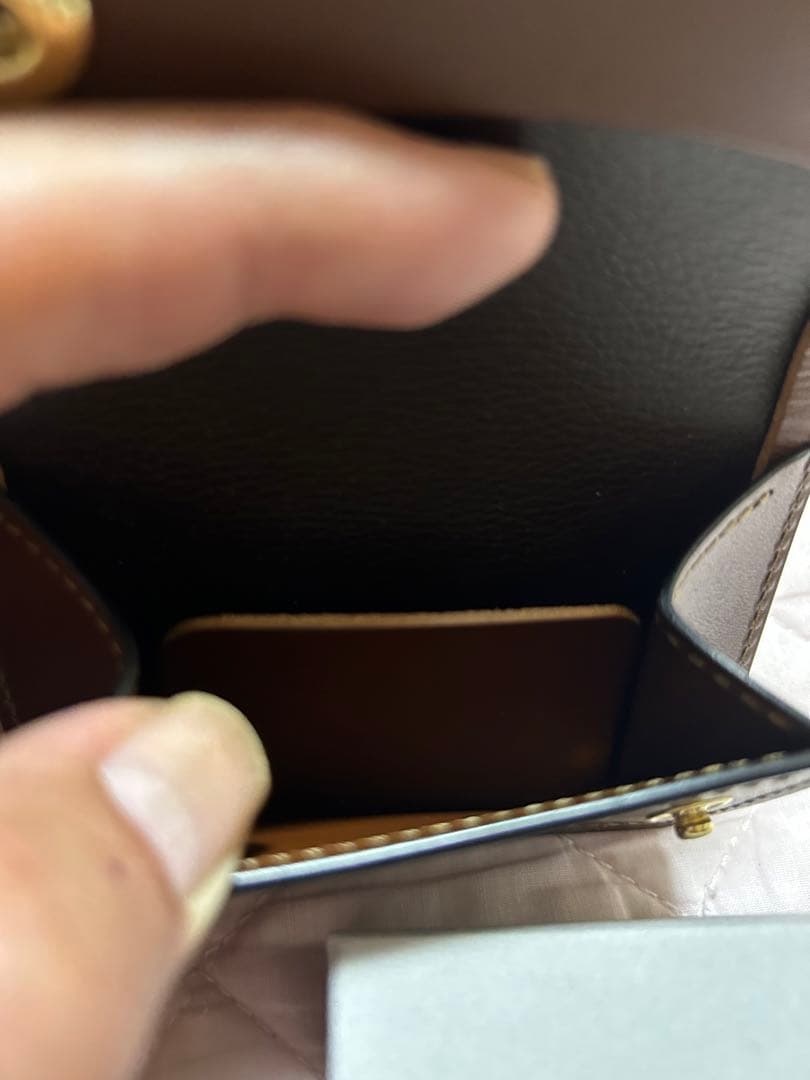 ワイルドスワンズタング ロイドバーシェ クオイオ