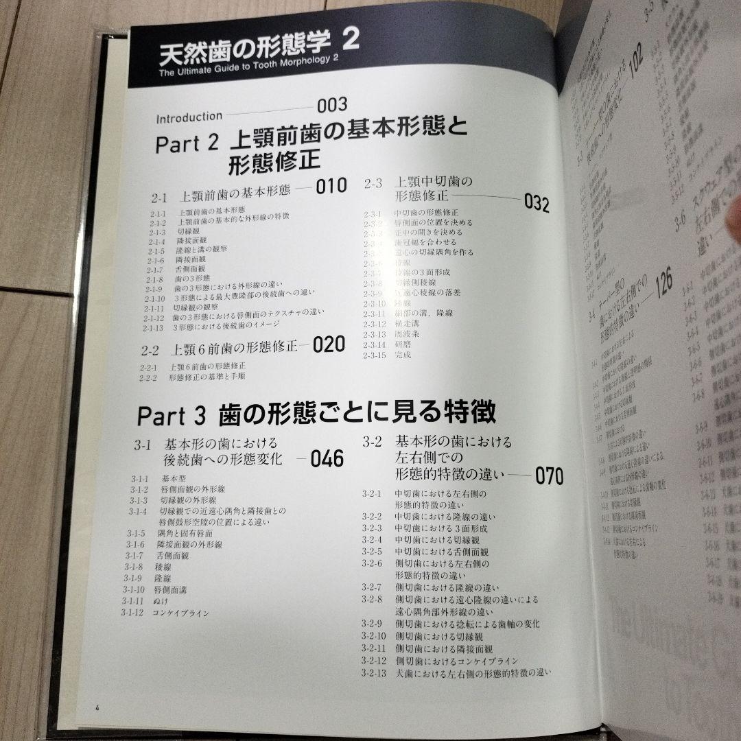 天然歯の形態学 2