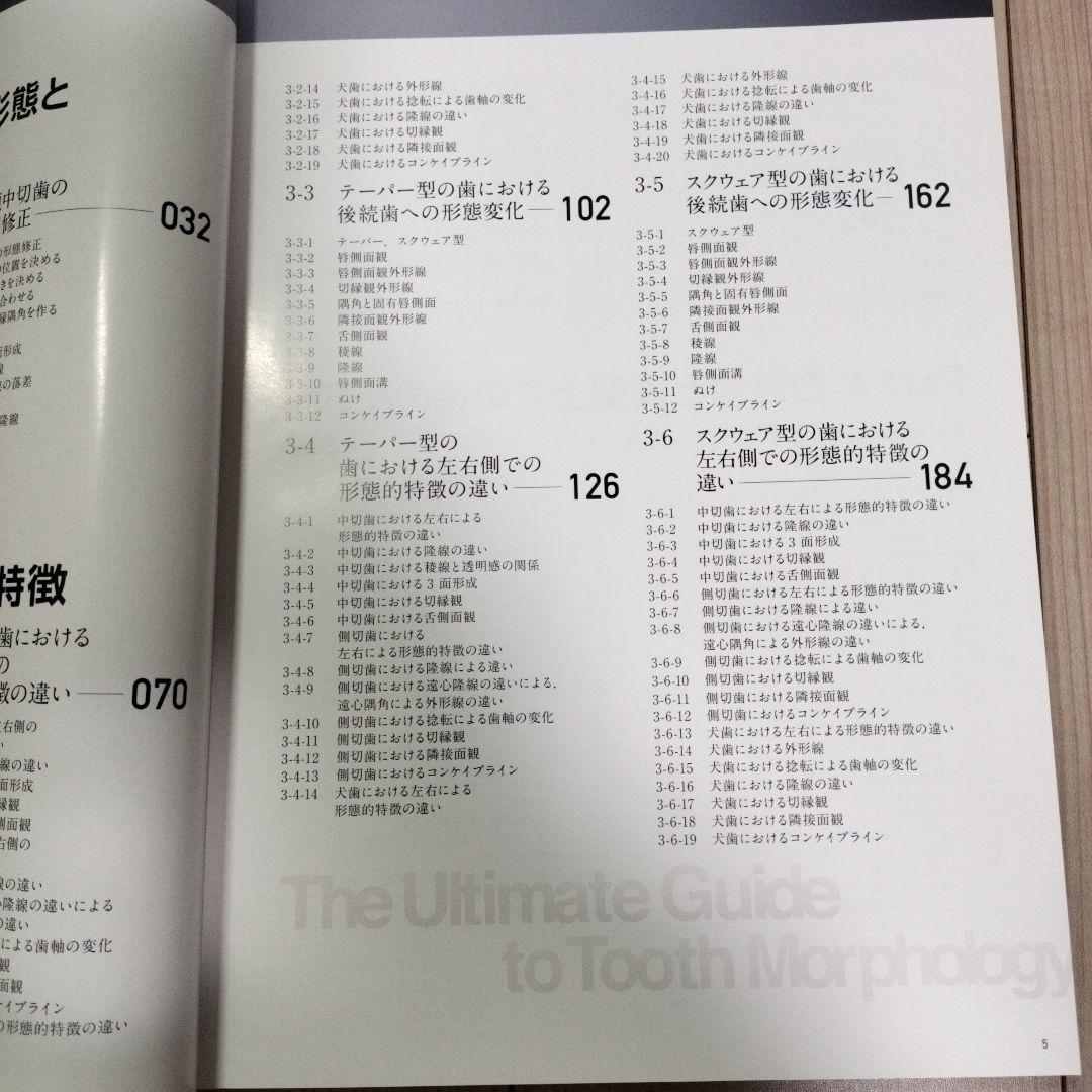 天然歯の形態学 2