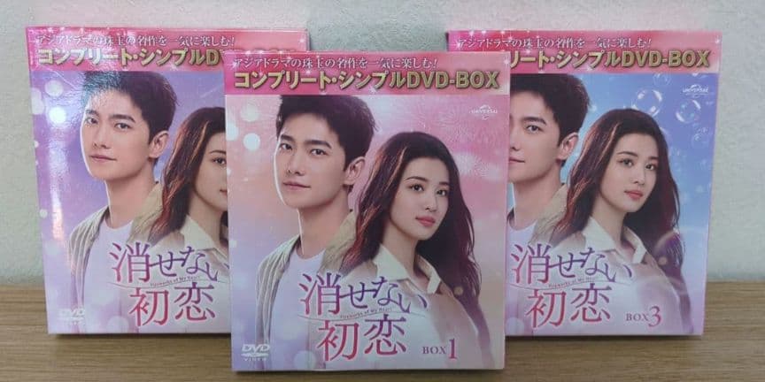 中国ドラマ　シンプルBOX　全巻　消せない初恋