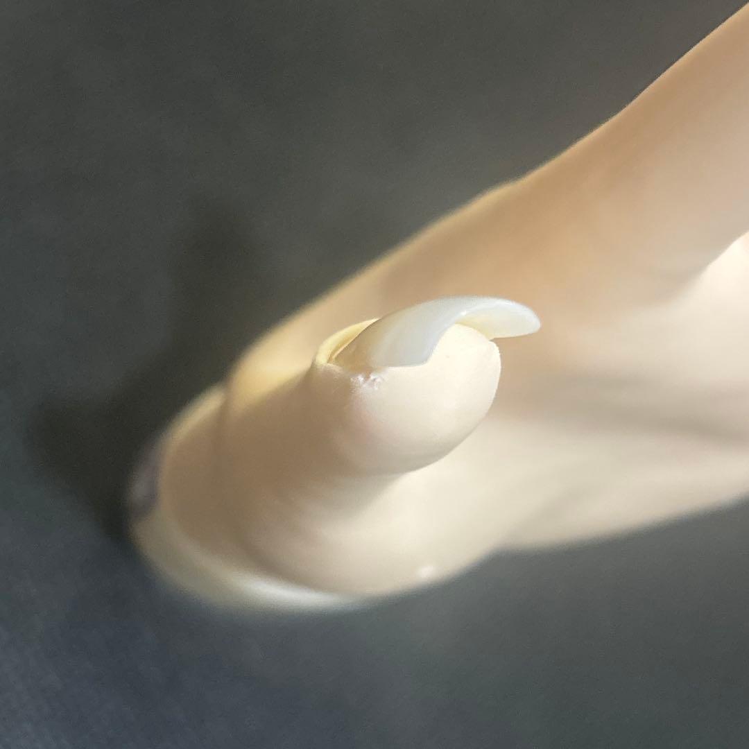 認定モデルハンド　ネイル検定　チップ付き