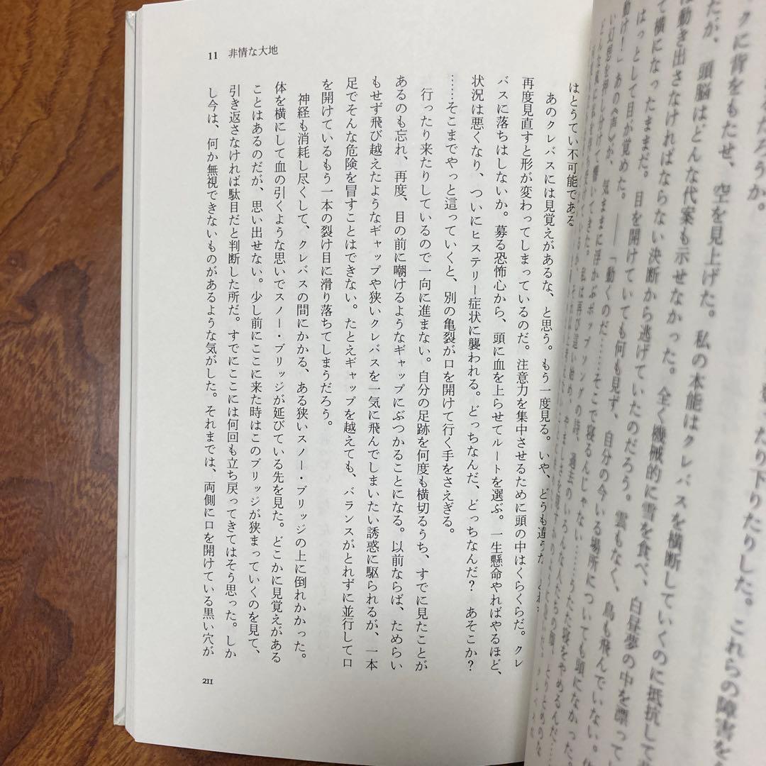 死のクレバス アンデス氷壁の遭難　除籍