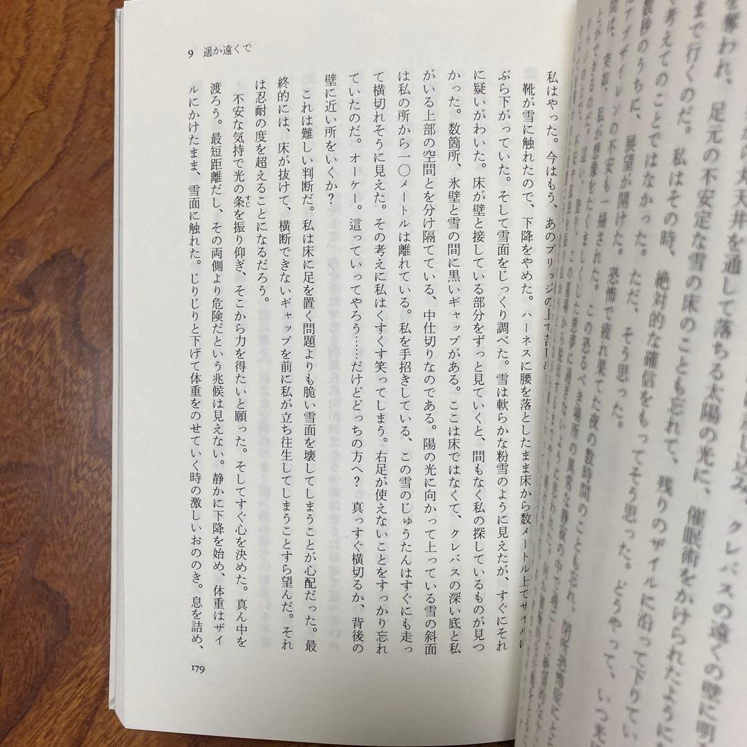 死のクレバス アンデス氷壁の遭難　除籍