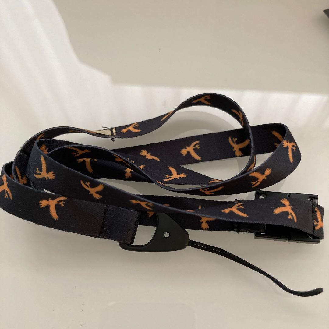 ポケットモンスター ハートゴールド& ポケウォーカー付き