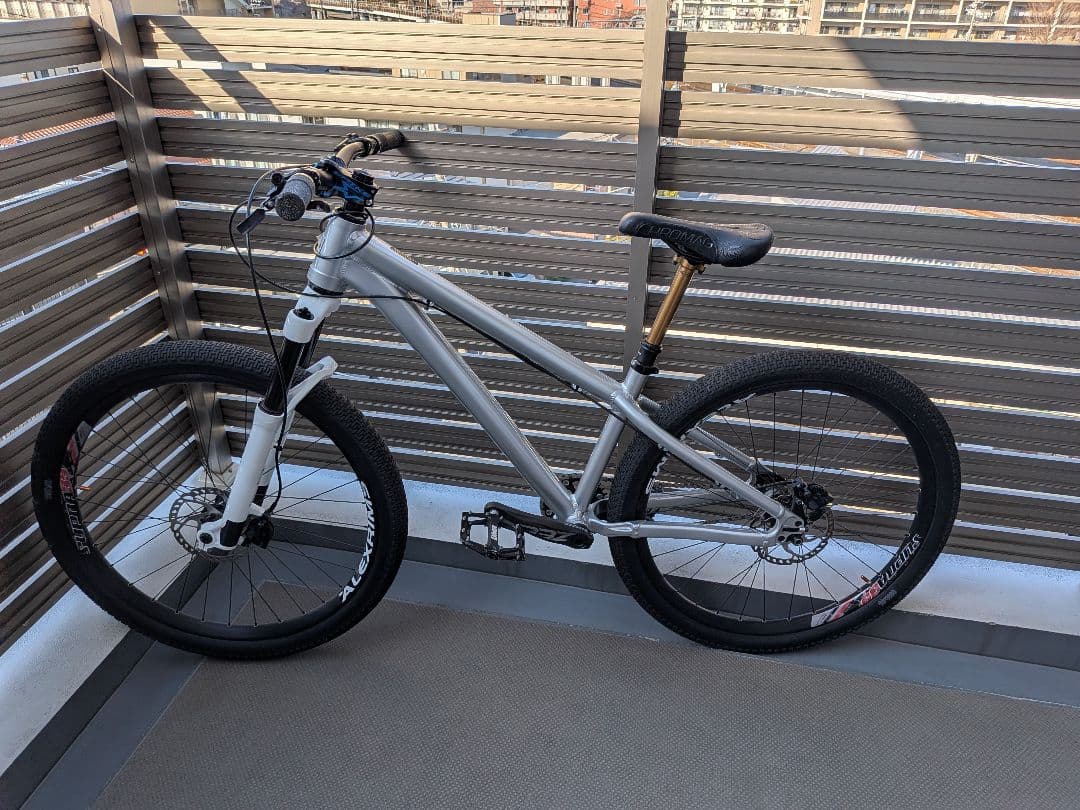 Santa Cruz Jackal　ジャッカル　2020シルバー