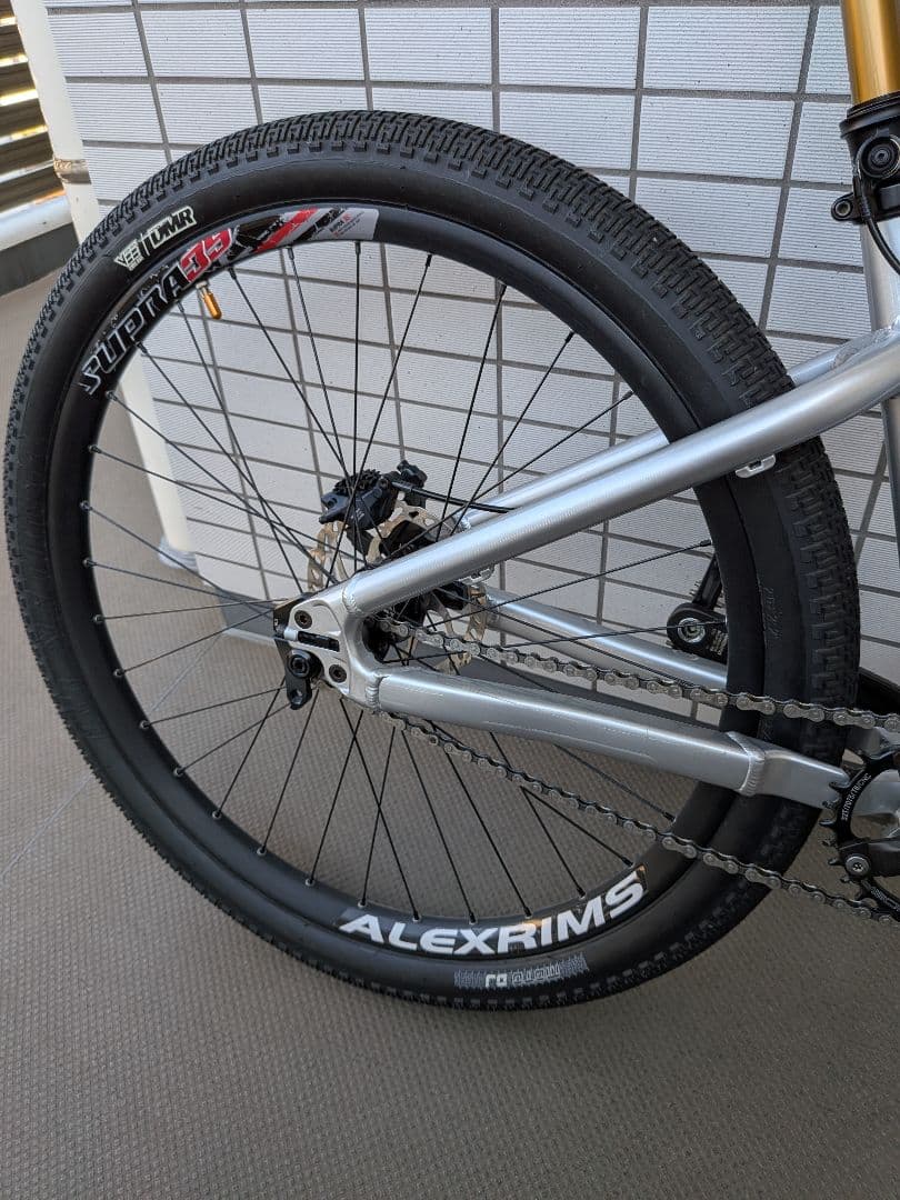 Santa Cruz Jackal　ジャッカル　2020シルバー