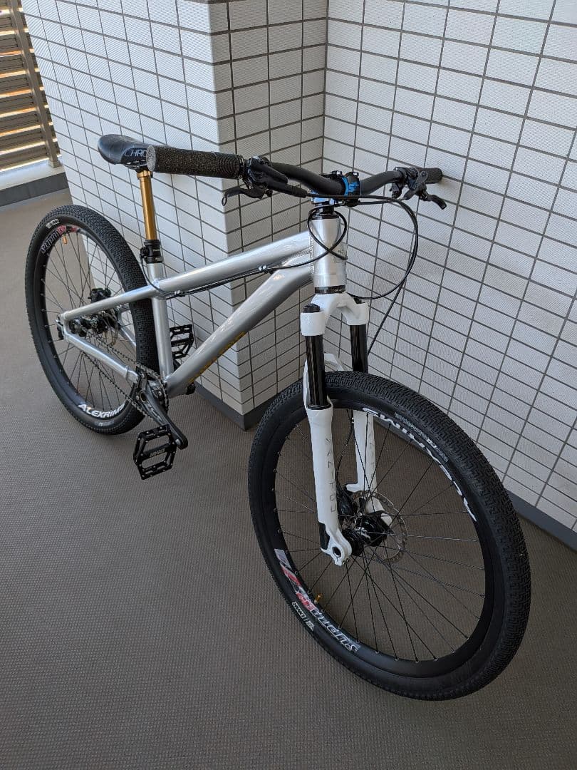 Santa Cruz Jackal　ジャッカル　2020シルバー