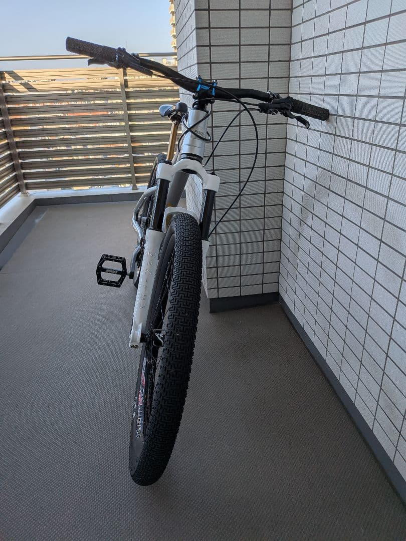 Santa Cruz Jackal　ジャッカル　2020シルバー