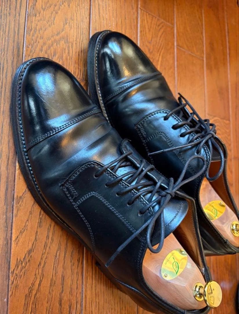 最終値下げ　Alden2161 US8