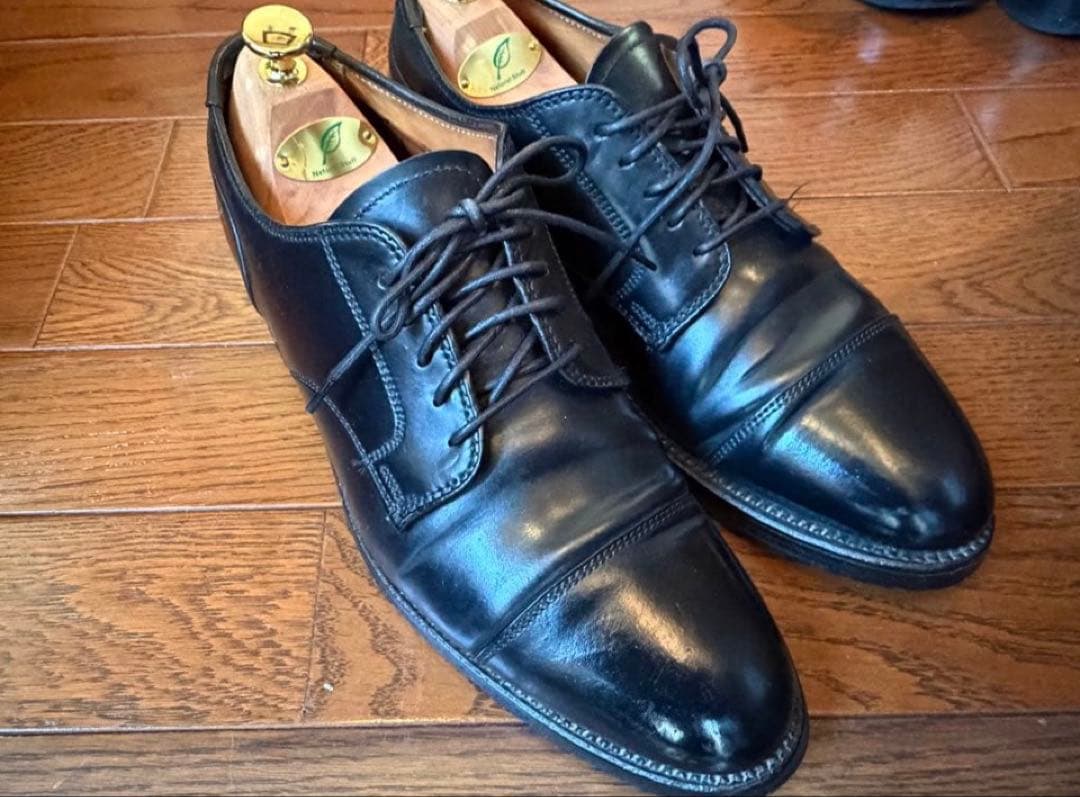 最終値下げ　Alden2161 US8