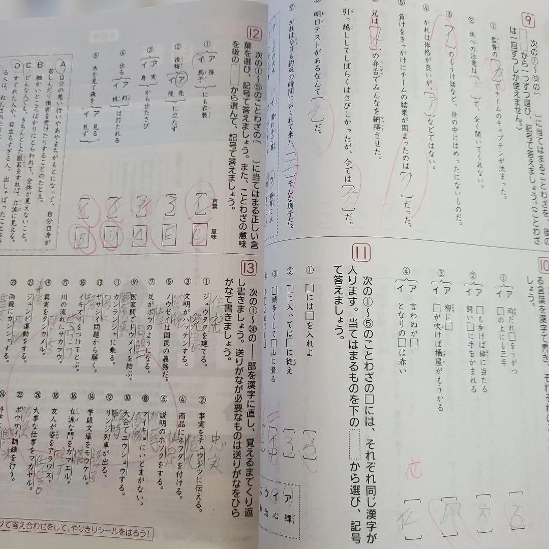 Benesse　考える力・プラス中学受験講座　チャレンジ　進研ゼミ 6年生