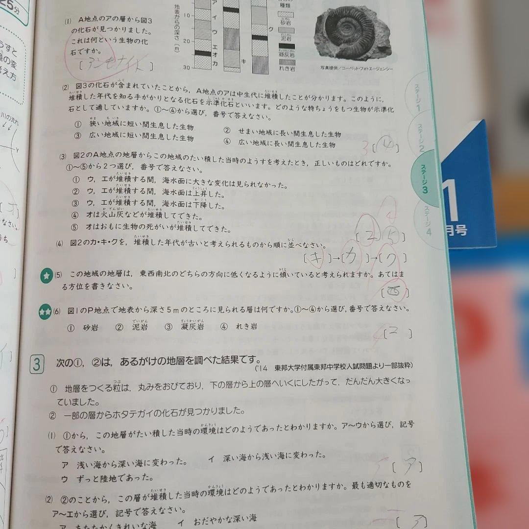Benesse　考える力・プラス中学受験講座　チャレンジ　進研ゼミ 6年生
