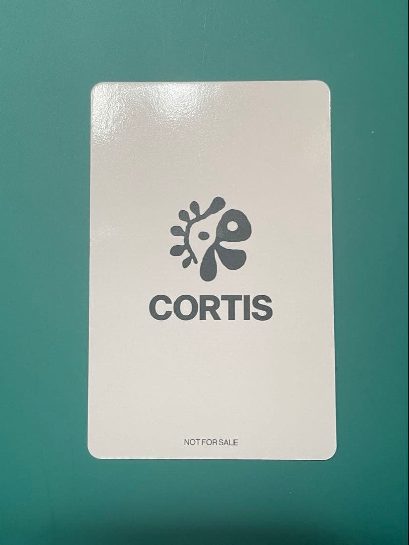 CORTIS コルティス　ラキドロ　ソンヒョン　ユニバ