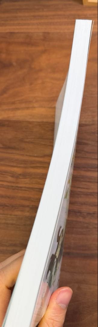 【堀剛史】原画集 2017