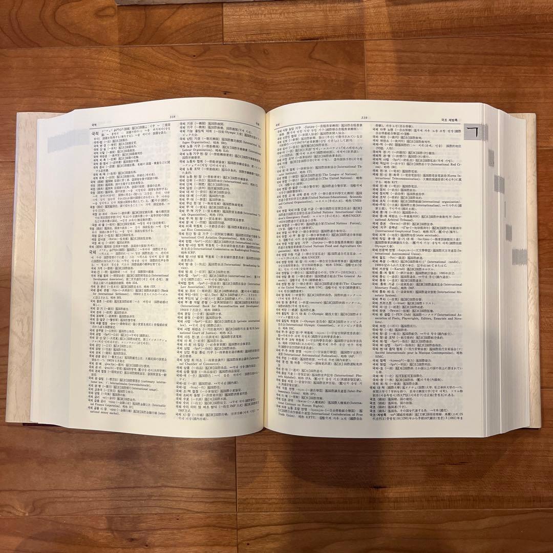 朝鮮語大辞典　上下巻　辞書　朝鮮語　日本語　大型本　美品