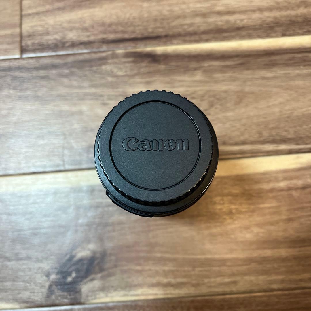 Canon EF-S 55-250mm ズームレンズ