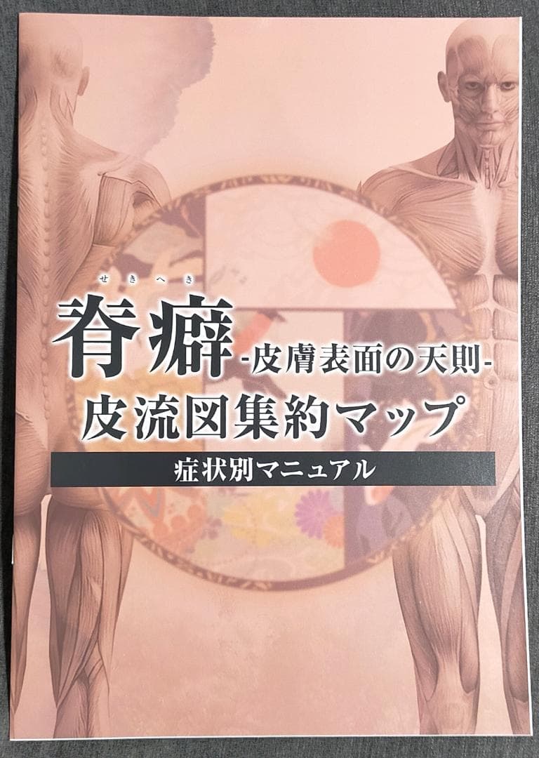 河野智聖 心道 3000年先の健康を創造する日本伝統医学 DVD８枚 + 本3冊