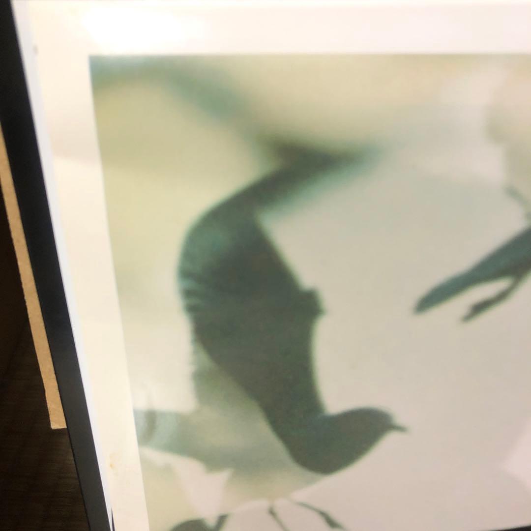 希少品 ミッシェル Rodeo Tandem beat specter 見本盤