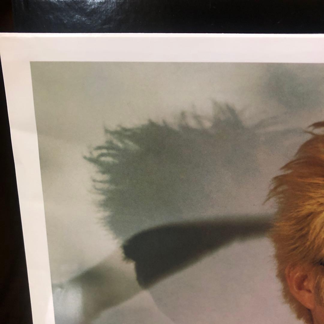 希少品 ミッシェル Rodeo Tandem beat specter 見本盤