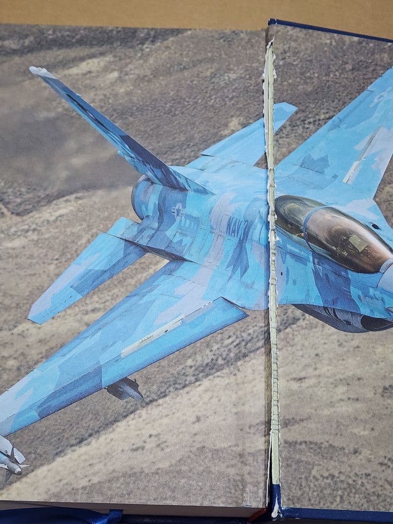 【古本、洋書】トップガンレガシー　Topgun The Legacy