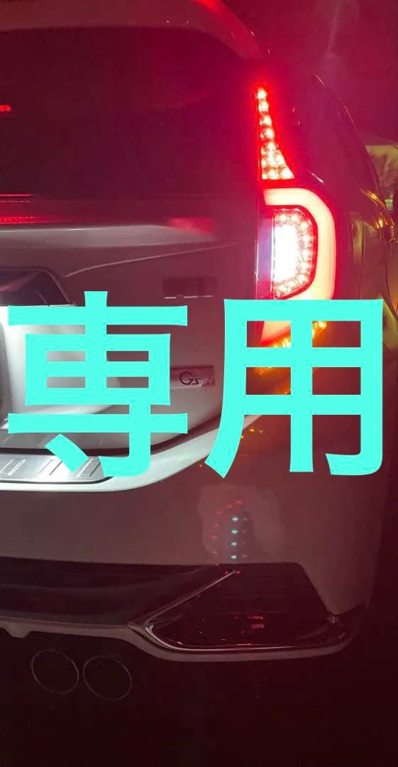 メガ角刈り　 アクアレヴィーアスモークテールランプ