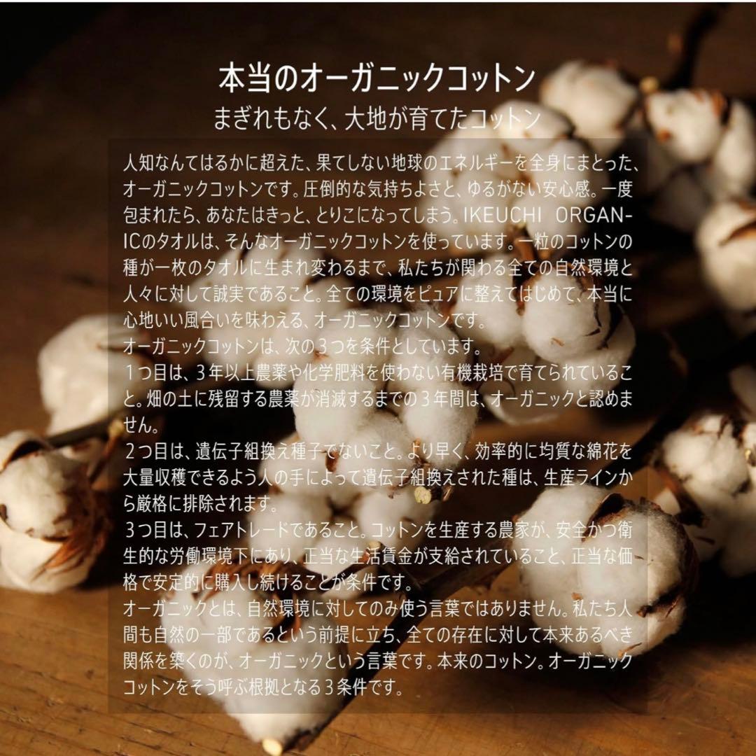 ★¥23,760- イケウチオーガニック1432 シングル ガーゼケット グレイ