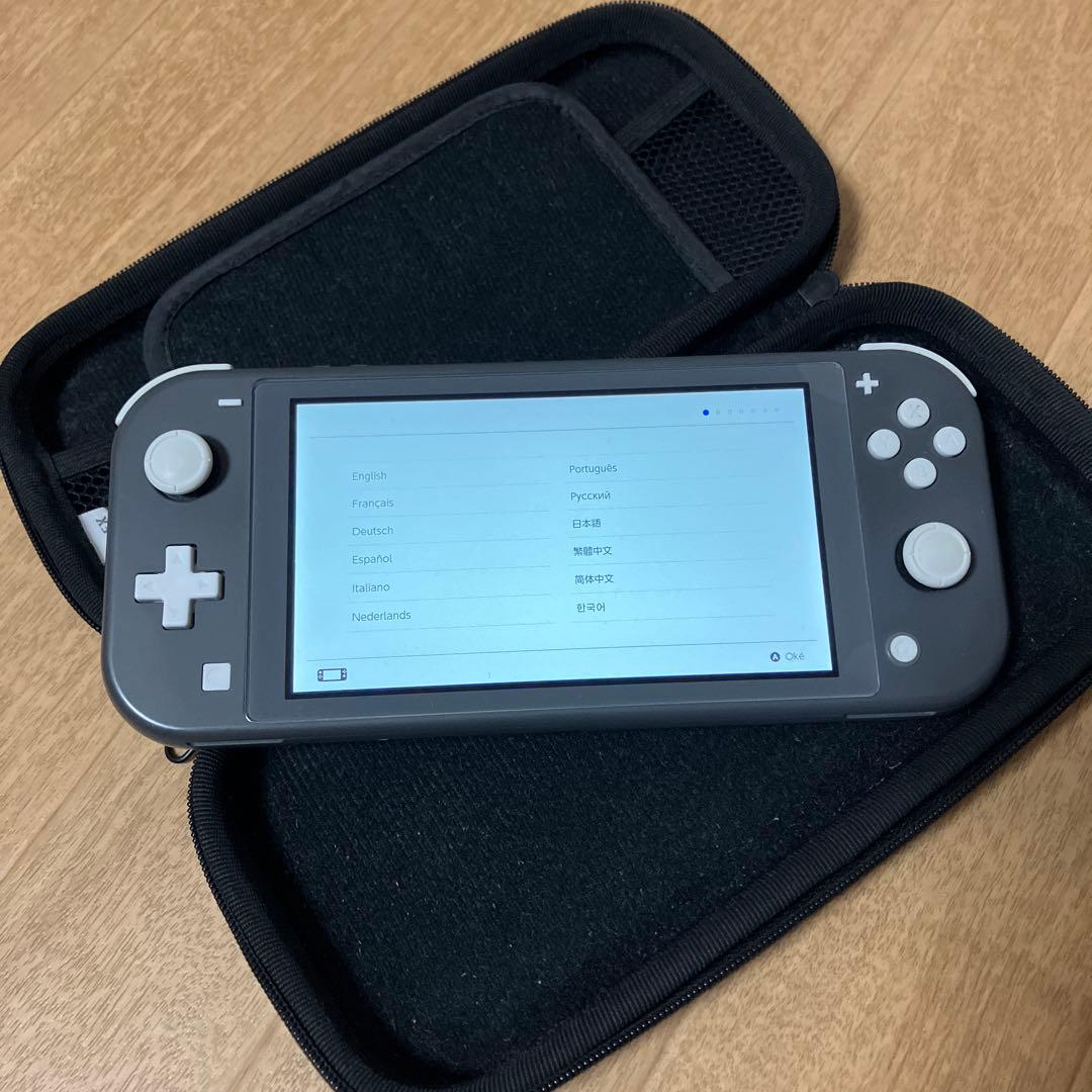 switchライト本体