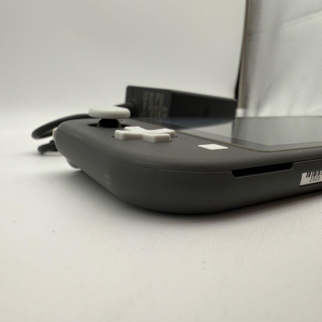 Nintendo switch Lite ニンテンドースイッチライト 付属品あり