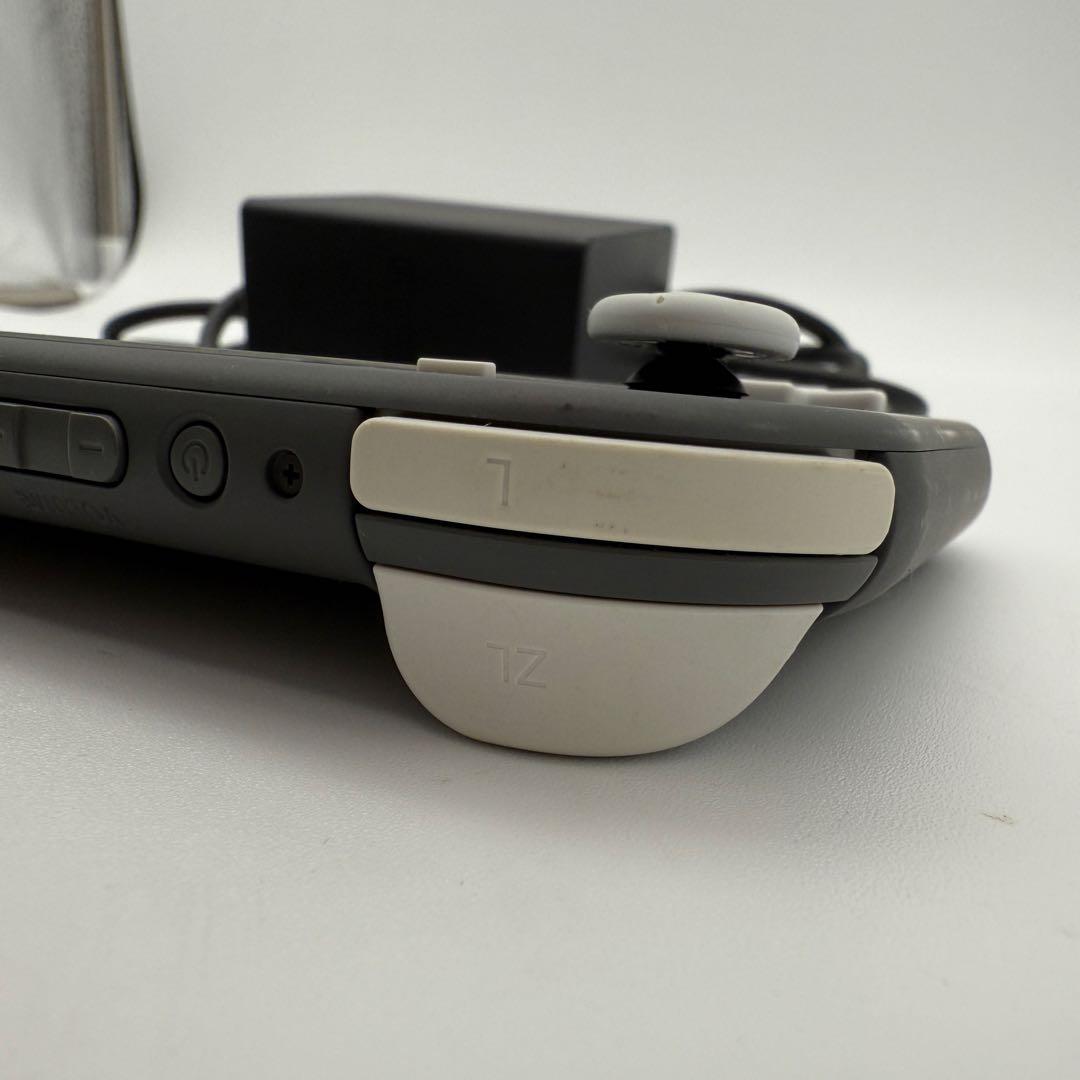 Nintendo switch Lite ニンテンドースイッチライト 付属品あり