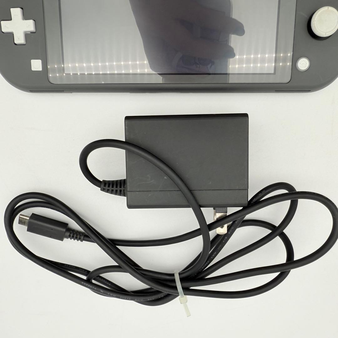 Nintendo switch Lite ニンテンドースイッチライト 付属品あり