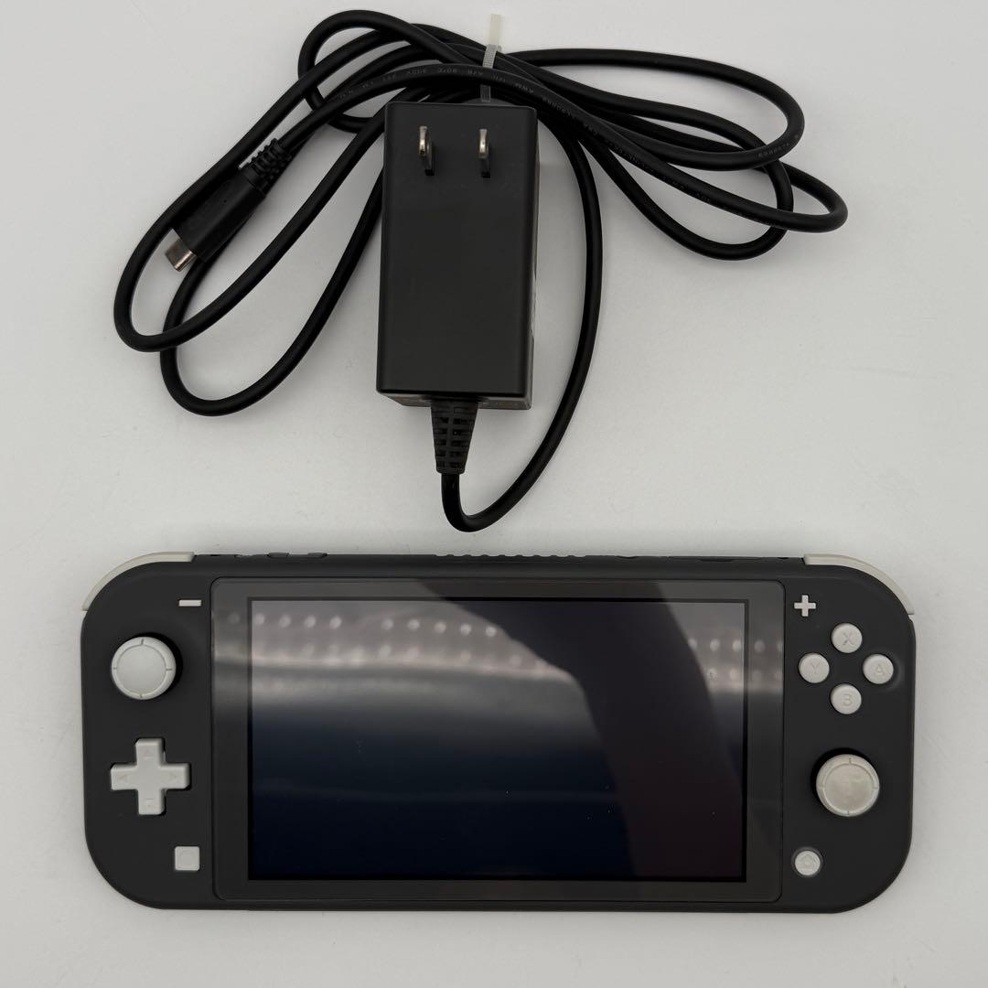 Nintendo switch Lite ニンテンドースイッチライト 付属品あり