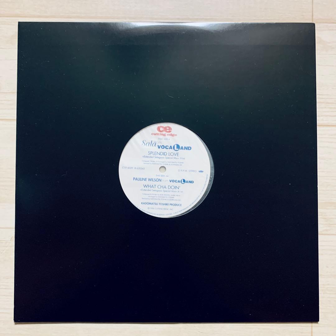 Sala from VOCALAND / SPLENDID LOVE 角松敏生