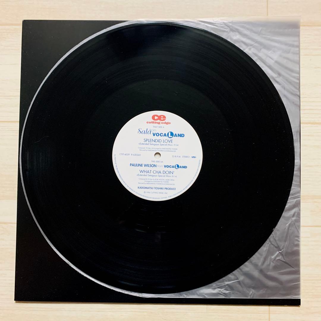 Sala from VOCALAND / SPLENDID LOVE 角松敏生