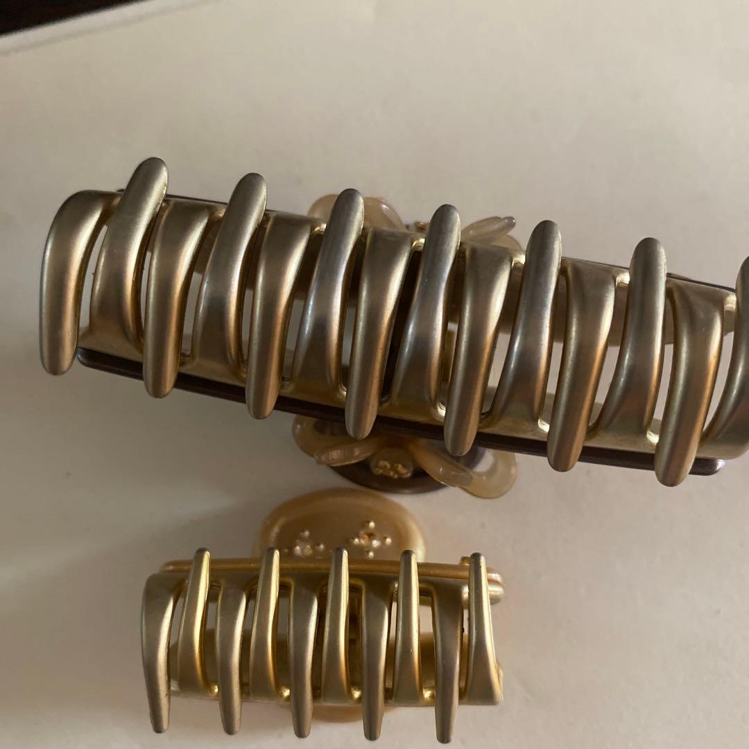 アレクサンドルドゥパリ　クリップ　2個